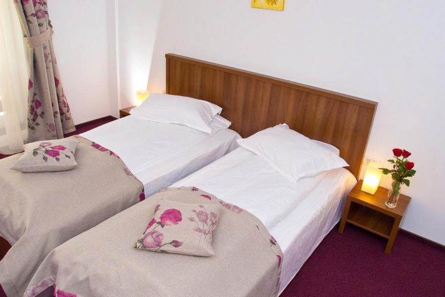 Hotel Domnitei Călimăneşti Eksteriør billede